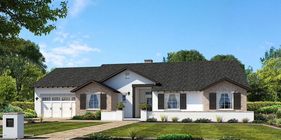 Front_Rendering