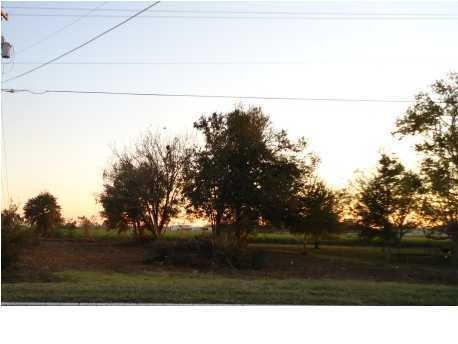 Primary Photo