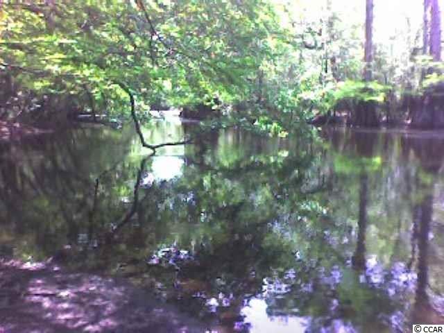 708 Tilly Pine Dr unit Lot 57 Rivers Edge P, Conway, SC 29526 - photo 1