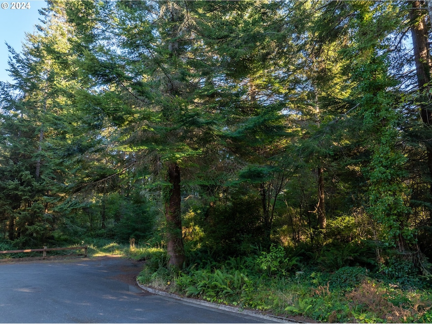 0 9th St NE unit 7-10 24484508, Bandon, OR 97411 - photo 1