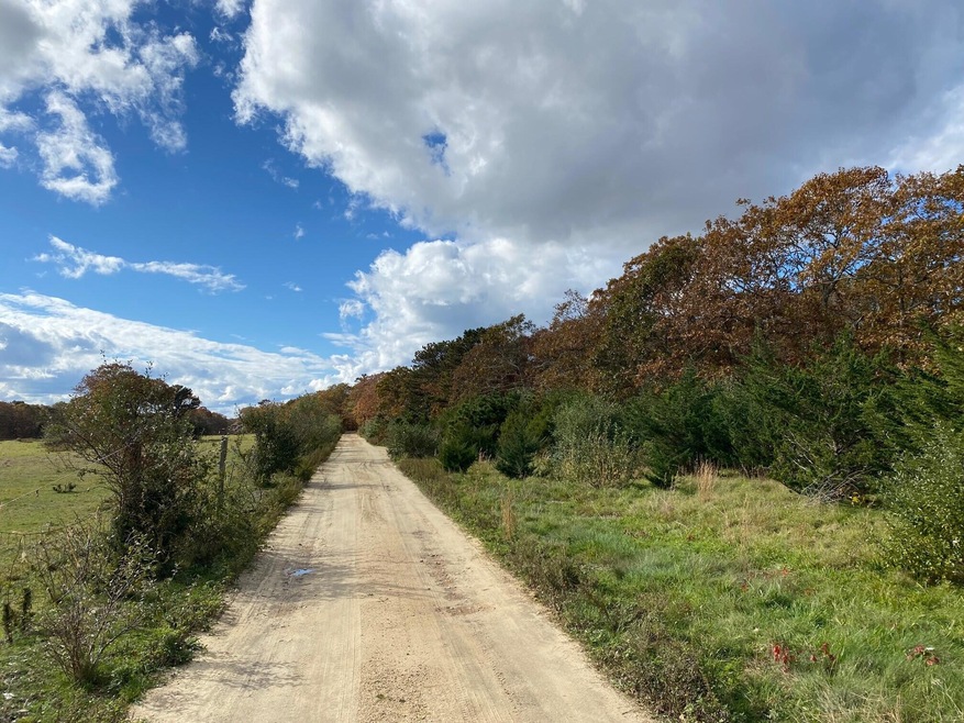 11 Brown Rd, Edgartown, MA 02539 - photo 1