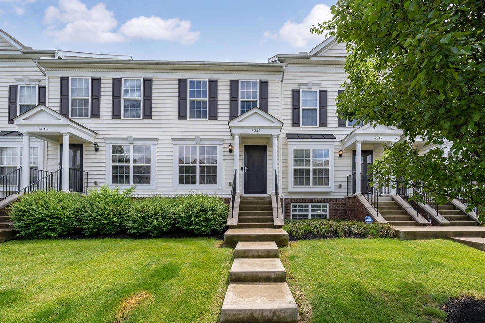 6249 Needletail_MLS_1