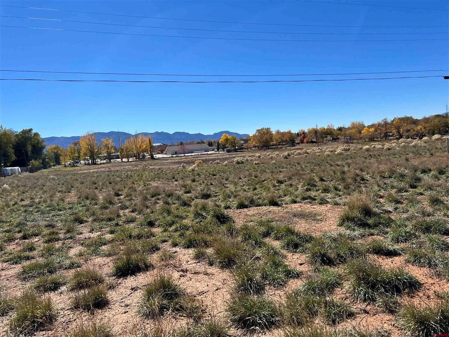 1331 20 Mule Team Dr, Cortez, CO 81321 - photo 1