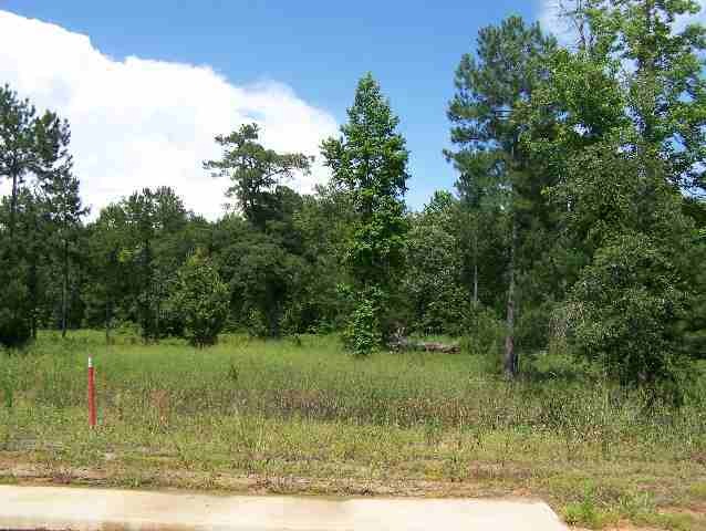 10905 Deer Creek Dr, Tyler, TX 75707 - photo 1