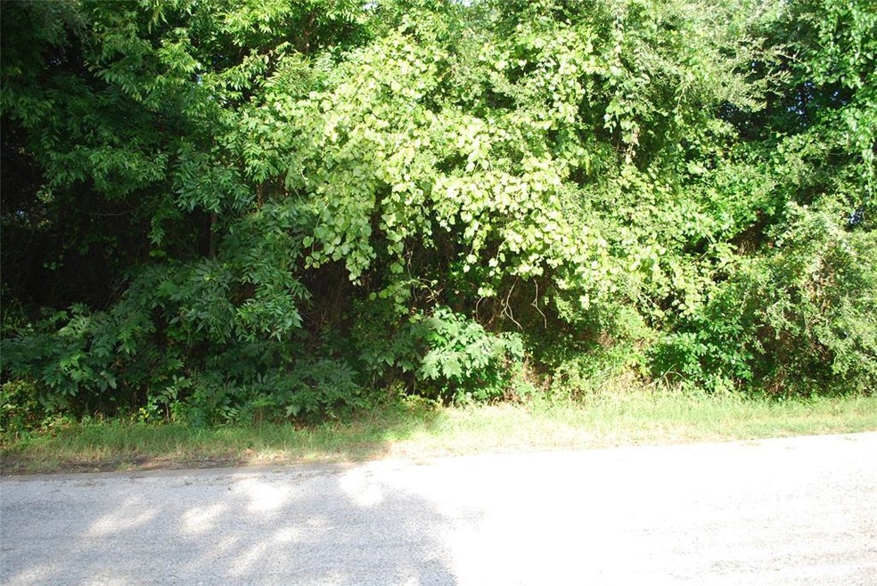 39229 Cedar Park Dr, Whitney, TX 76692 - photo 1