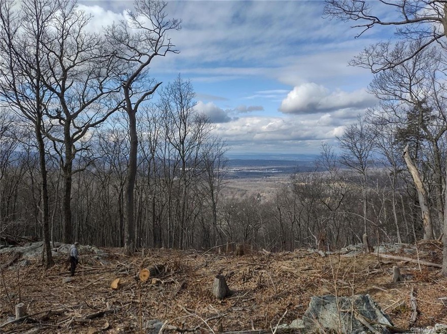 0 Woodmont Rd unit ONEH6285314, East Fishkill, NY 12533 - photo 1