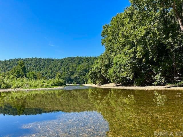 000 Grandpa Jones Rd, Mountain View, AR 72560 - photo 1