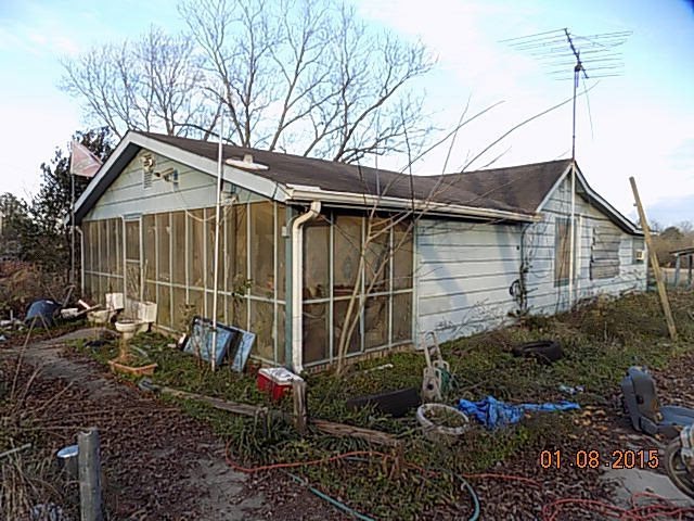 Primary Photo