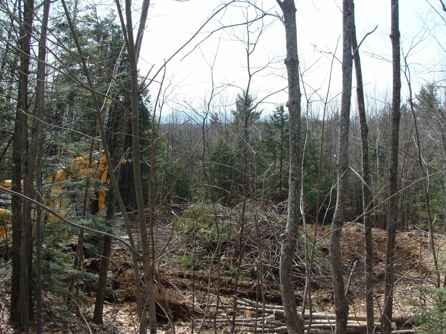 0 N Line Rd unit 4872232, Wolfeboro, NH 03894 - photo 1