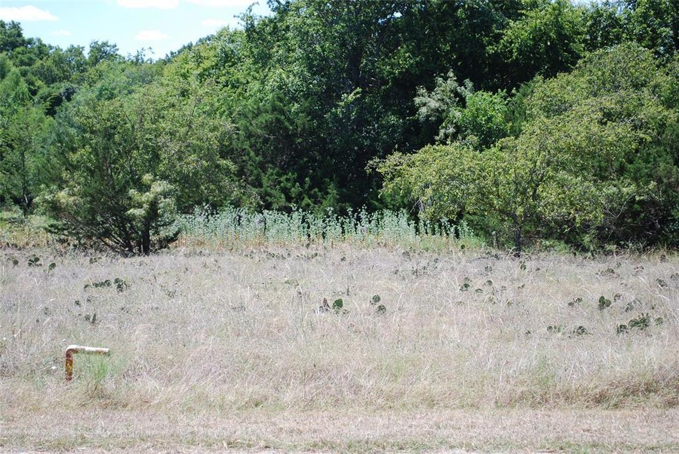 8049 Cedarcrest Dr, Whitney, TX 76692 - photo 1