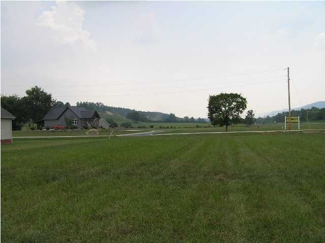 Primary Photo