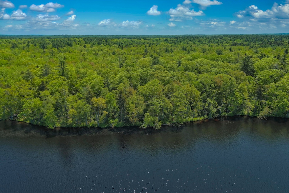 Aerial view from the pon