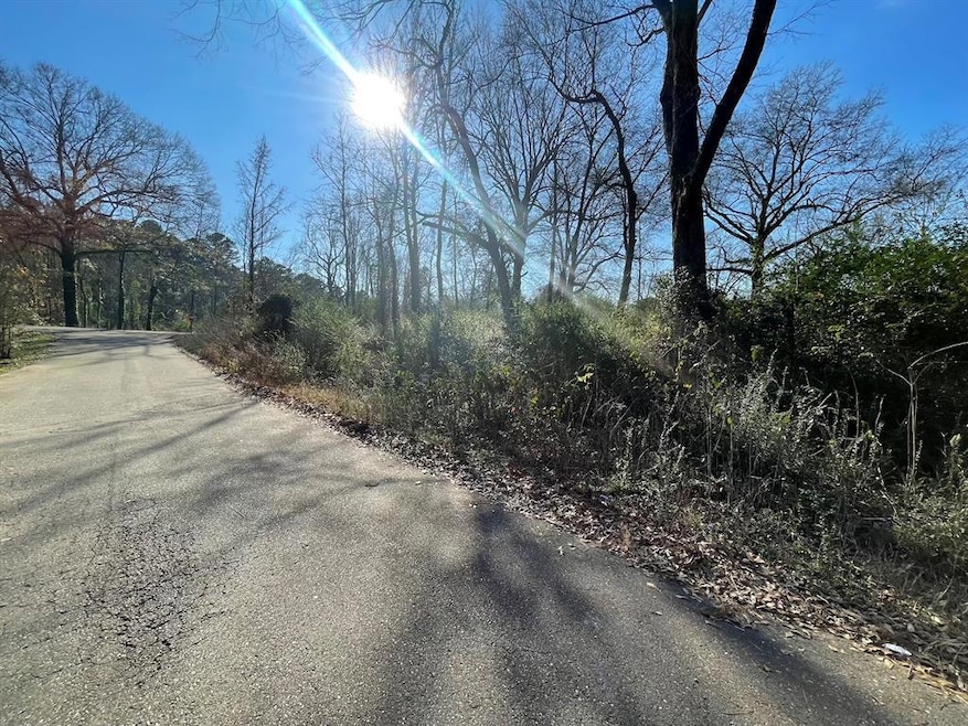 View of road