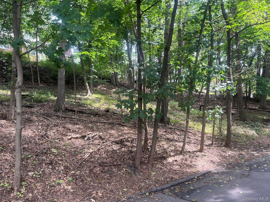 0 Springwood Ave, Ardsley, NY 10502 - photo 1