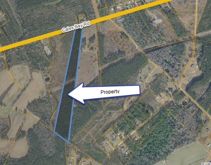 0 Cates Bay Rd unit 2202213, Conway, SC 29527 - photo 1