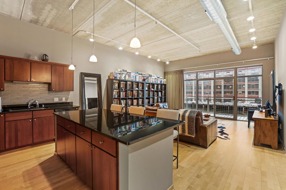 210 S Water St unit 218, Milwaukee, WI 53204 - photo 1