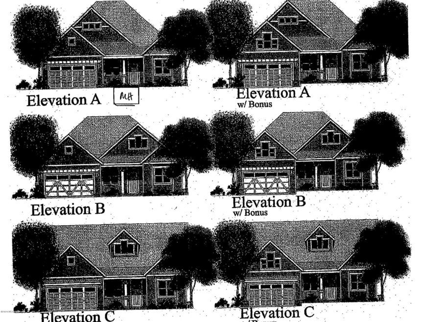 elevation