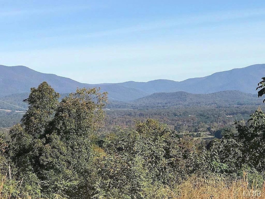 10 Hartless Rd, Amherst, VA 24521 - photo 1