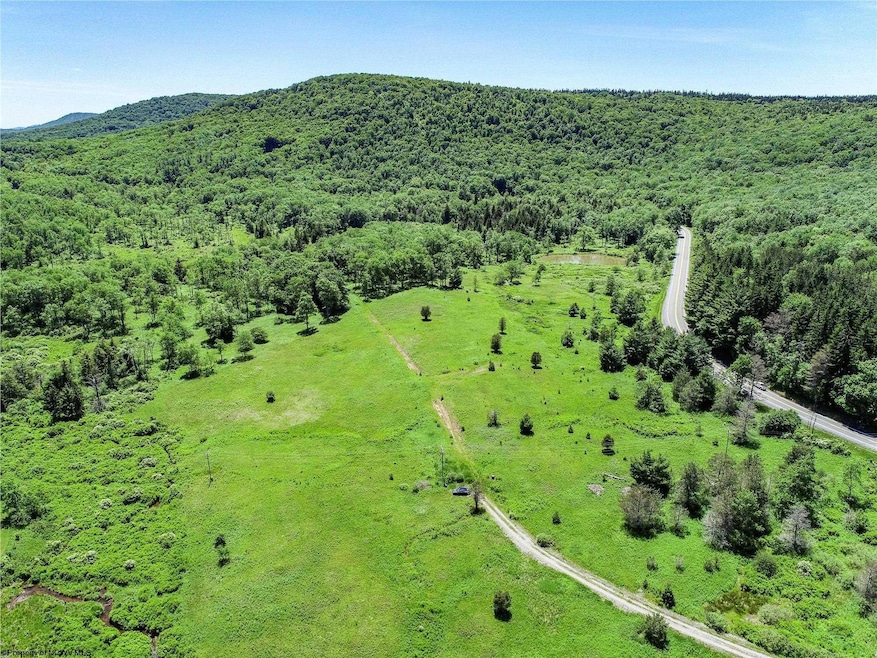 00 Mountainview Dr, Davis, WV 26260 - photo 1