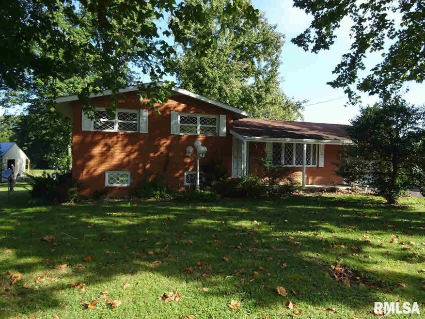 1104 Mchaney Rd, Harrisburg, IL 62946 - photo 1