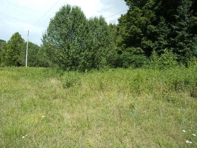 1 Liberty Cir, Prospect, TN 38477 - photo 1