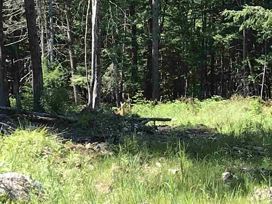 Lot 46 2-1 George Rd unit 46 2-1, Hebron, NH 03241 - photo 1