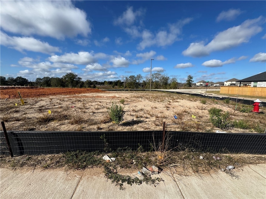 6402 Raleigh Loop, College Station, TX 77845 - photo 1