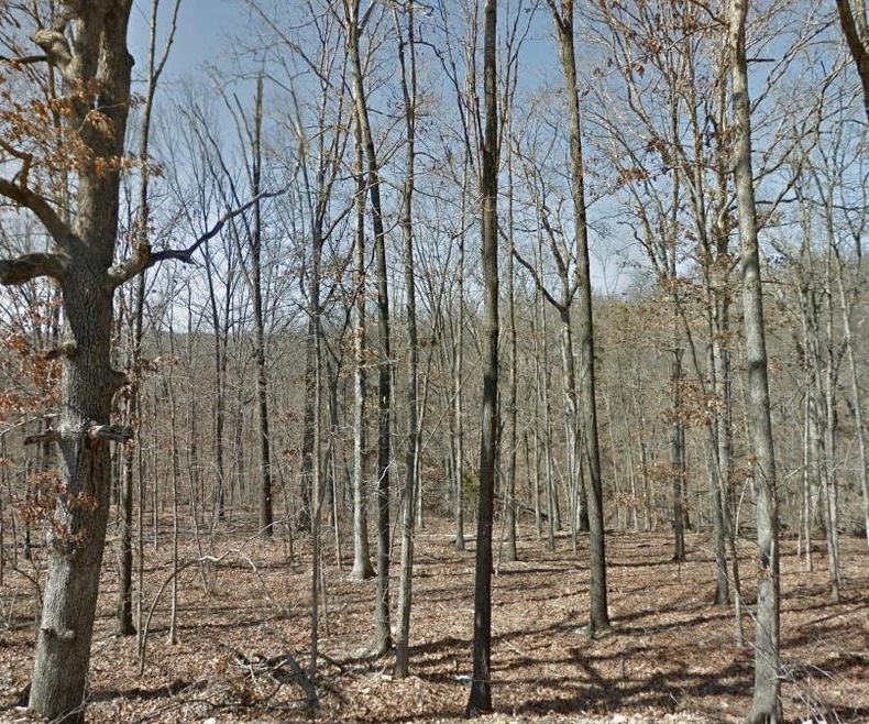 0 Montgomery Cir, Bella Vista, AR 72715 - photo 1