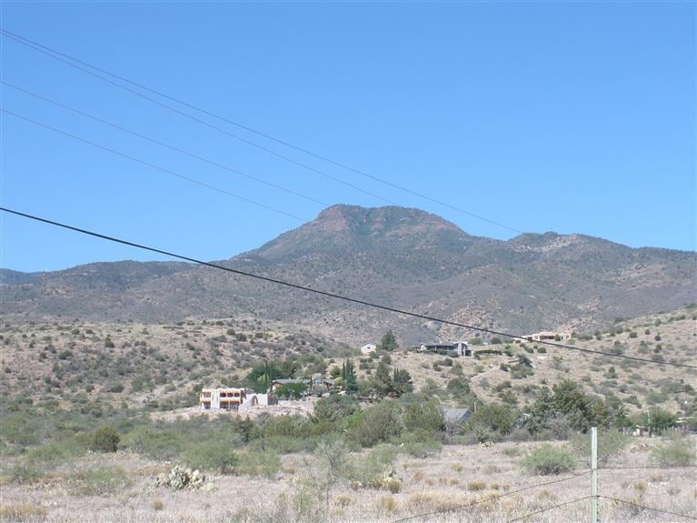 Primary Photo