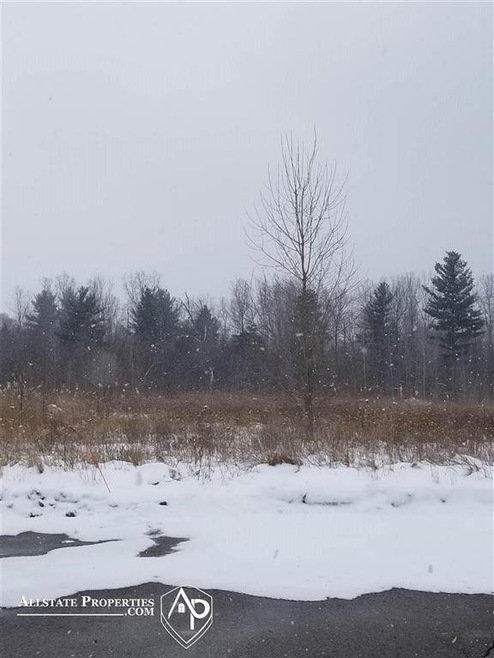 3 N Main St, Davison, MI 48423 - photo 1