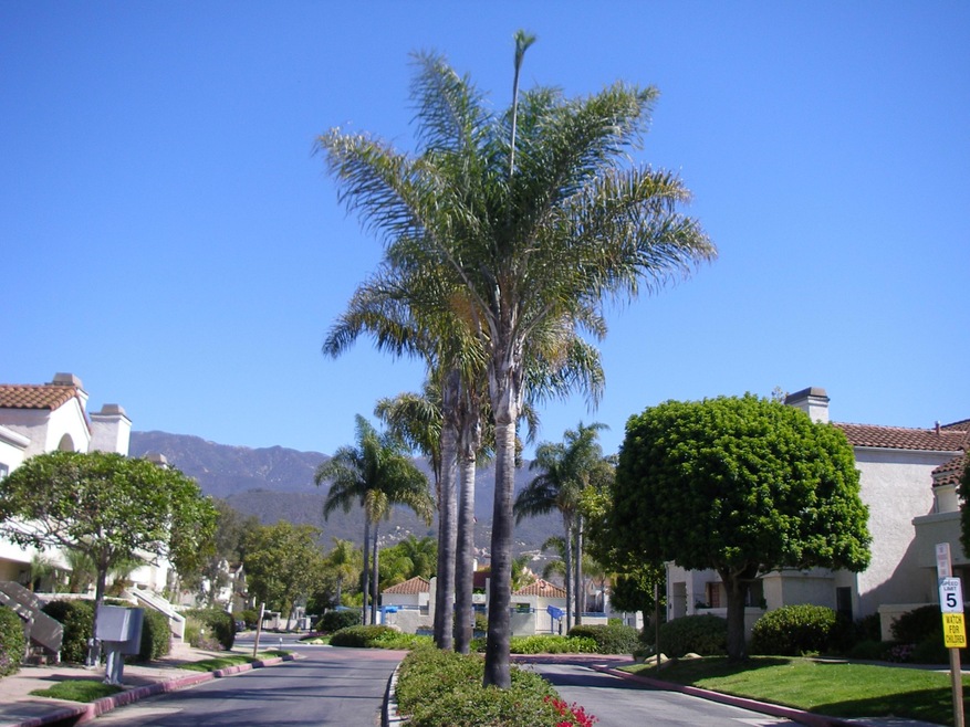 Entrance to Franciscan Village