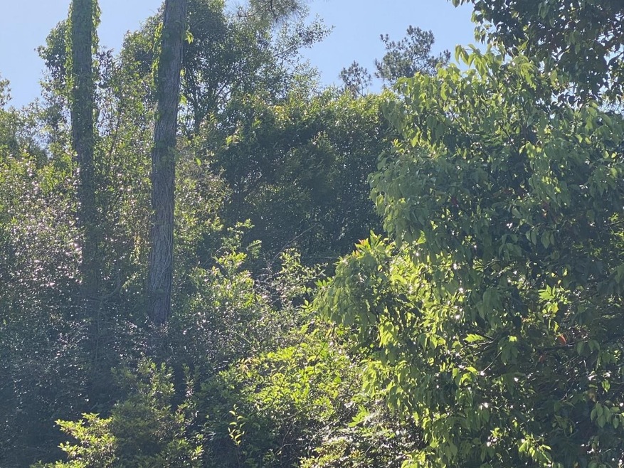 XX Kcl Rd, Crawfordville, FL 32327 - photo 1