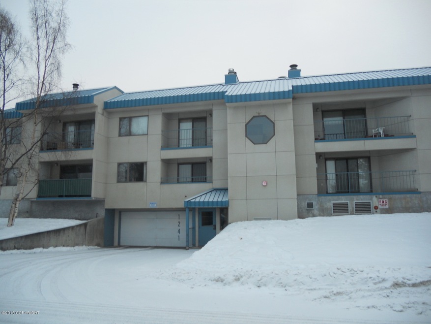 denali court picture