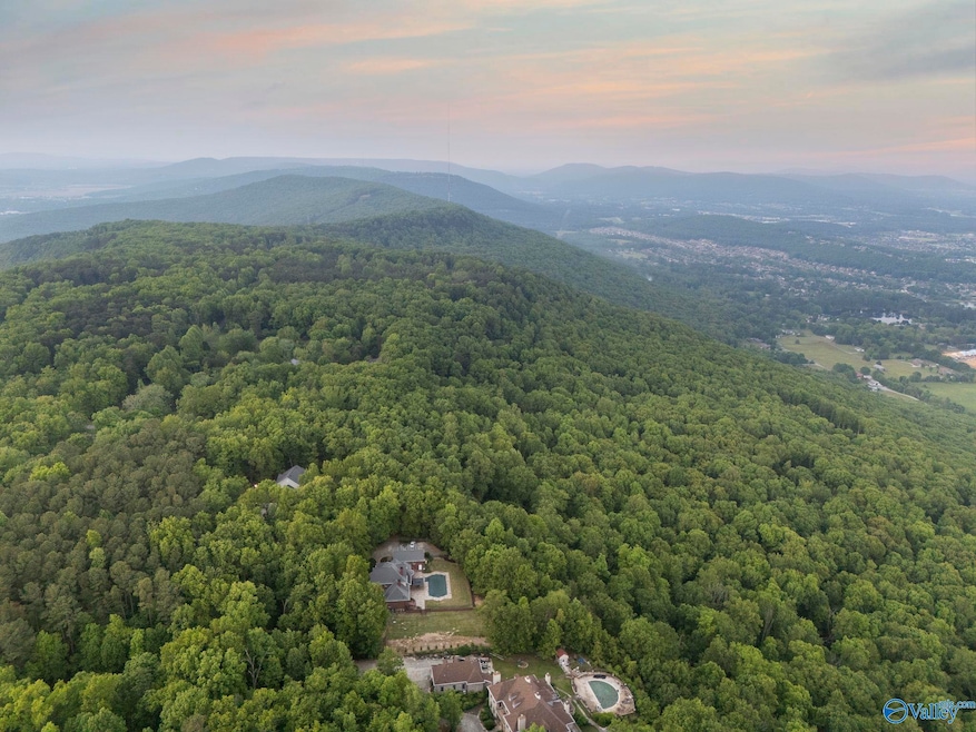 Lot 3 SE North Shawdee Rd, Huntsville, AL 35803 - photo 1