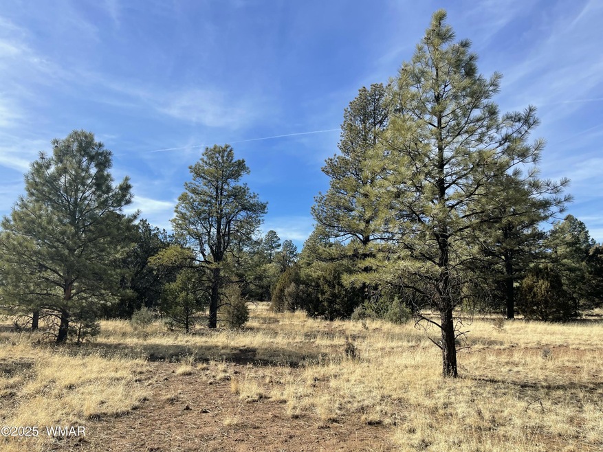 Sold $47,500 • Co-Listing Agent