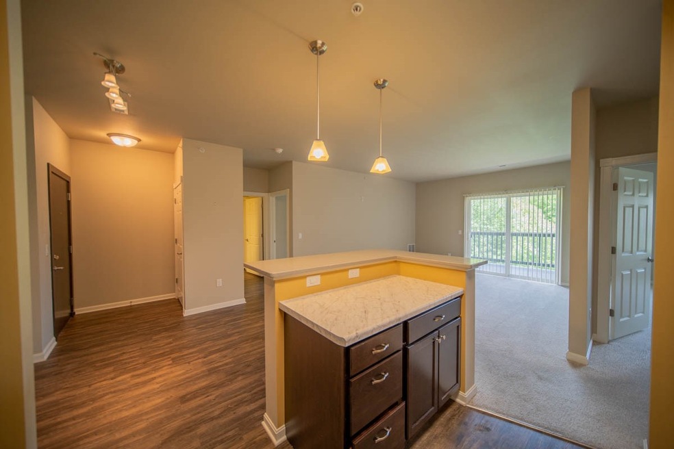 5194 Sassafras Dr unit 213, Fitchburg, WI 53711 - photo 1