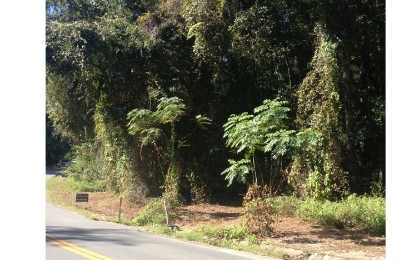 LOT 9 Fairway View Unit 2, Lake City, FL 32024 - photo 1