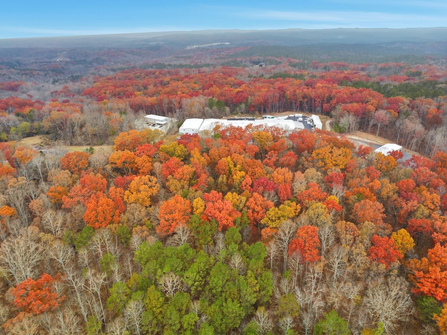 600 Hogan Pond Ln, Ball Ground, GA 30107 - photo 1