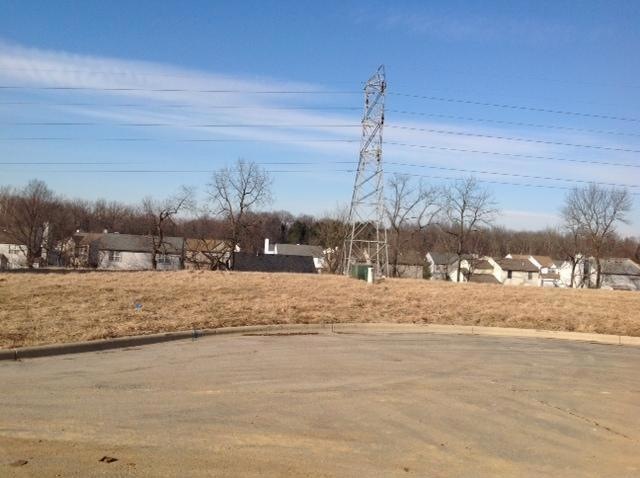 Whitepine Ridge Ct. Cul-De-Sac
