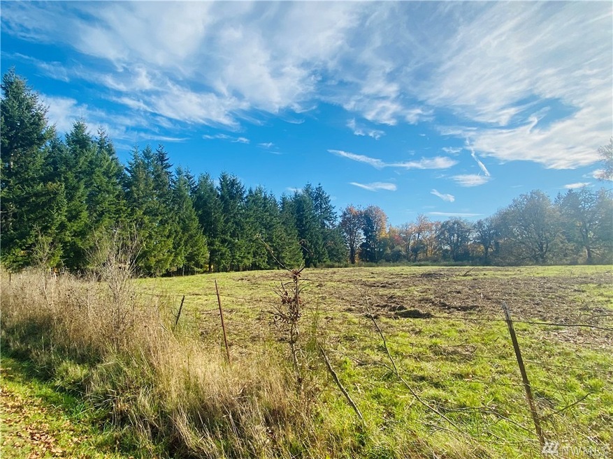 150 Howe Rd, Toledo, WA 98591 - photo 1