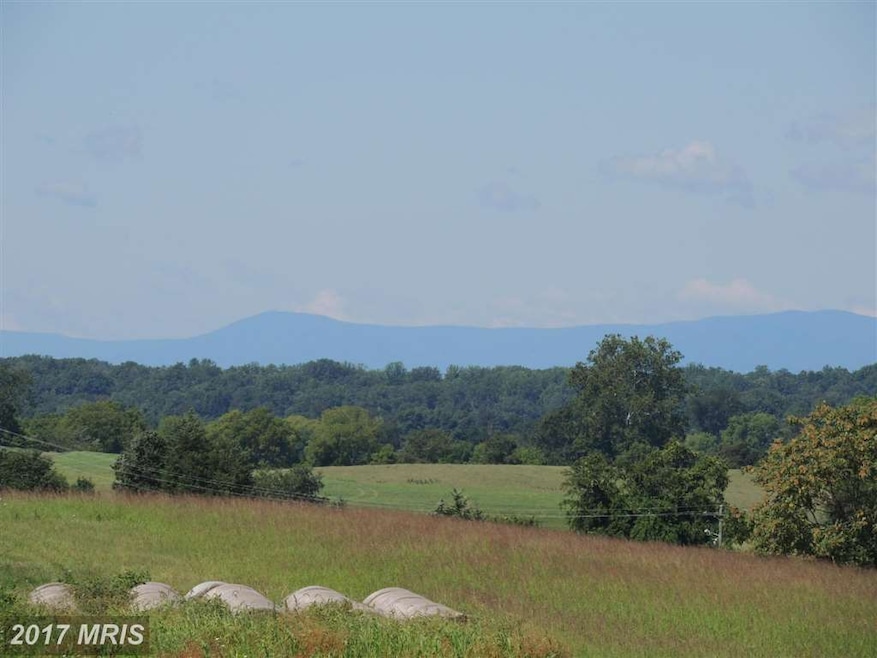 16 Ashbourne Ln, Rixeyville, VA 22737 - photo 1