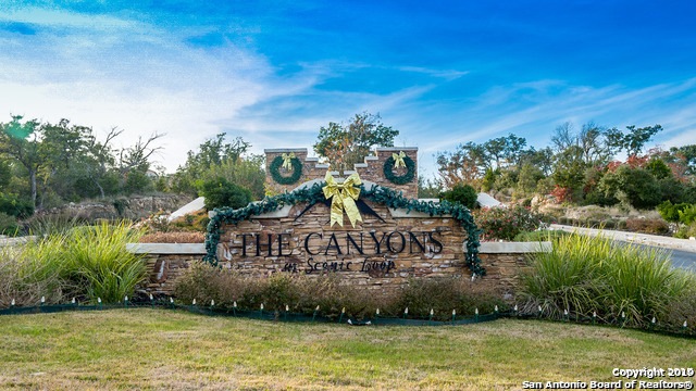 23502 Messina Canyon, San Antonio, TX 78255 - photo 1