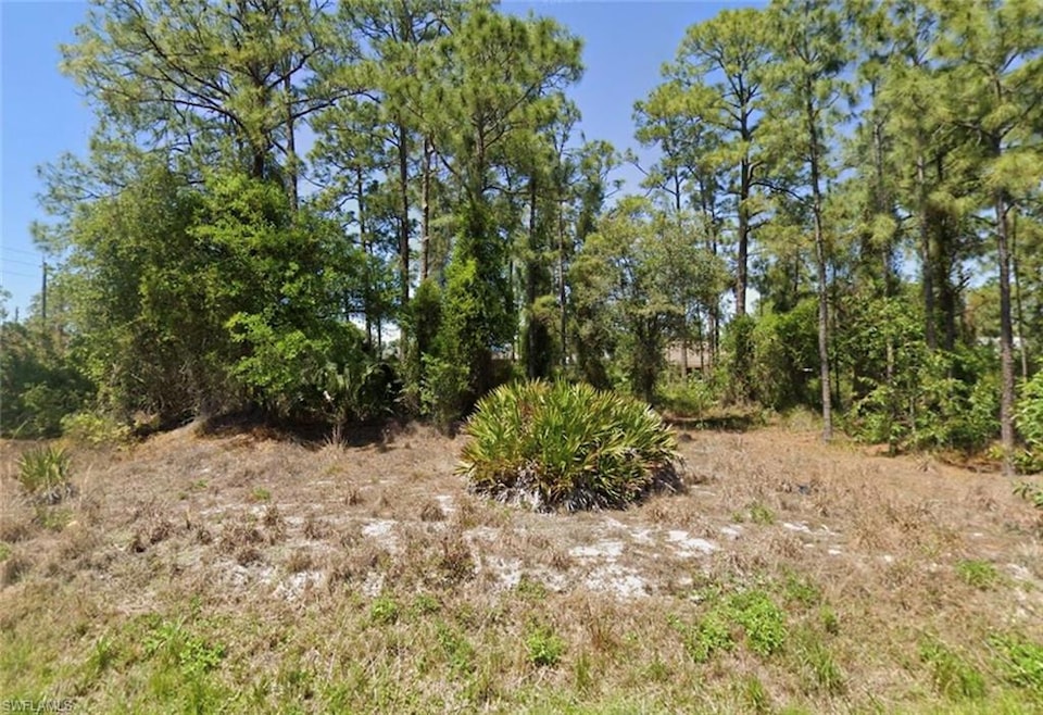 View of undeveloped land