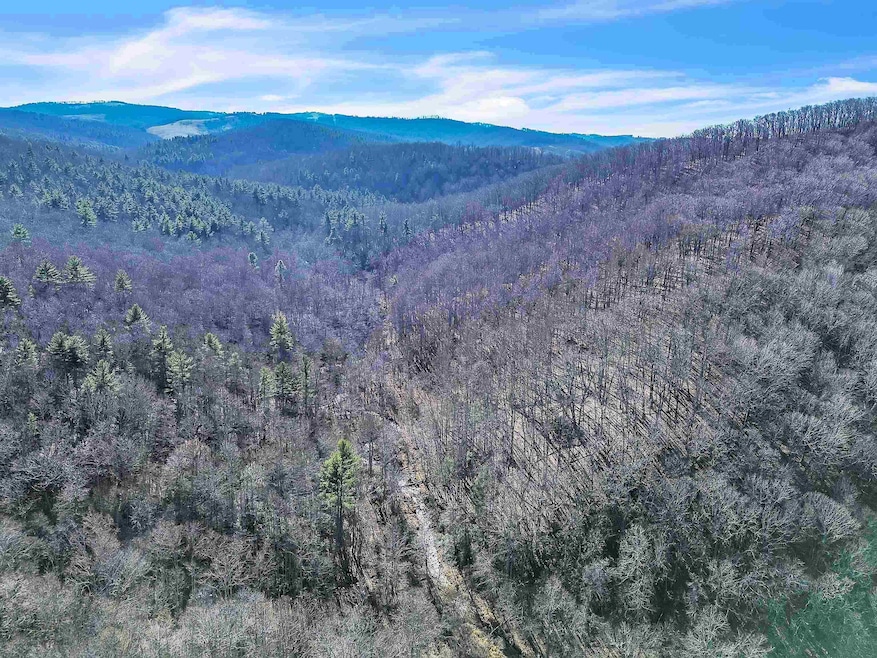 1398 Cox Store Rd SW, Floyd, VA 24091 - photo 1