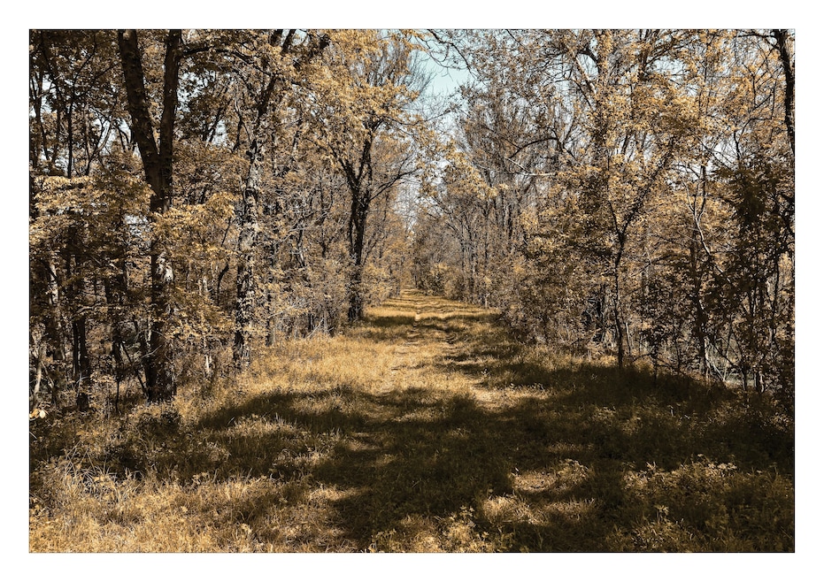 3300 Sheppard Island Rd, Altheimer, AR 72004 - photo 1