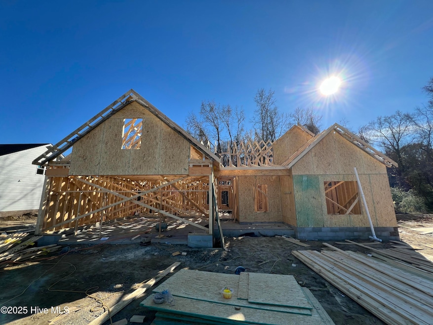 400 Creeks Edge Dr, Pikeville, NC 27863 - photo 1