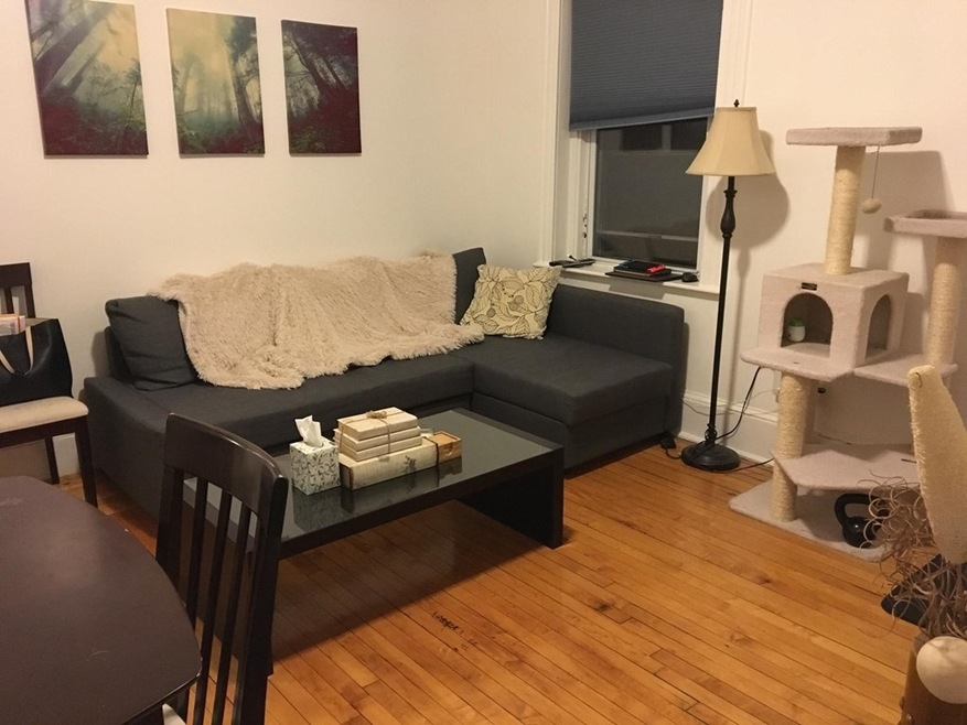 46 W Newton St unit 11, Boston, MA 02118 - photo 1