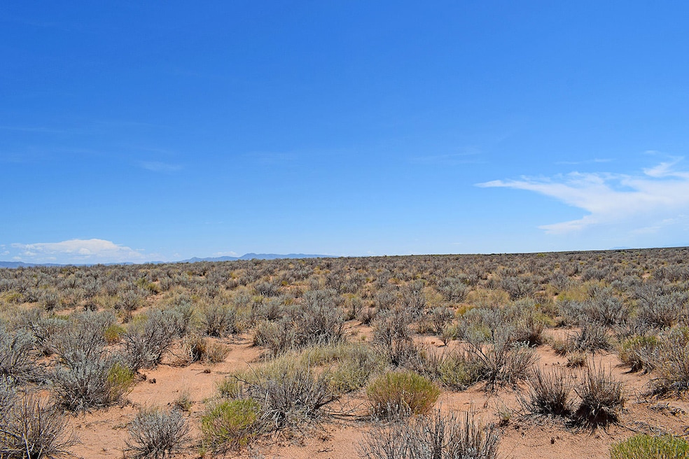 Lot 18 Rio Del Oro Loop unit 12, Los Lunas, NM 87031 - photo 1