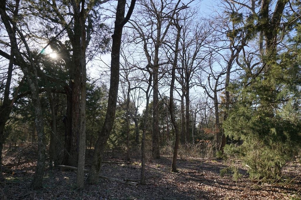 01 Private Road 5204, Athens, TX 75751 - photo 1