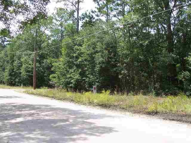 3 Fairway, Crawfordville, FL 32327 - photo 1